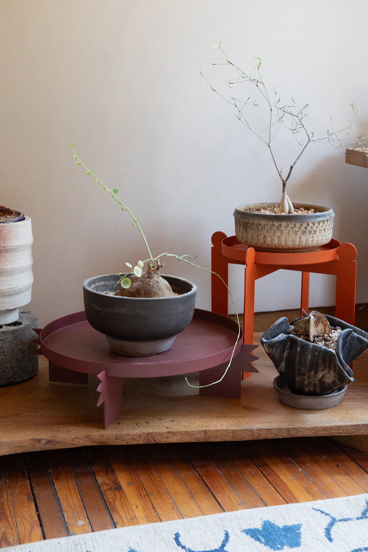 Artful Living, Effortlessly Within Reach