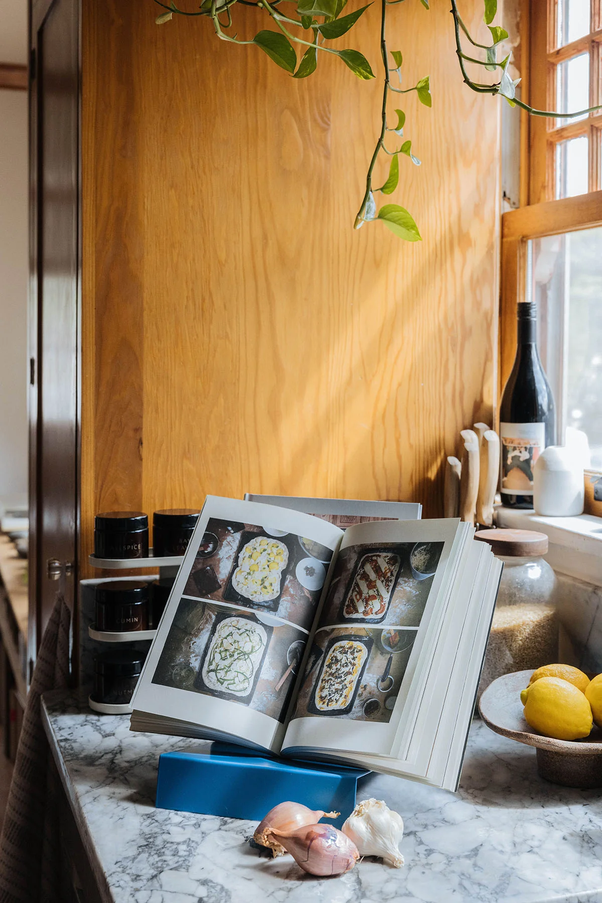 LP Stand - Blue - Image 5