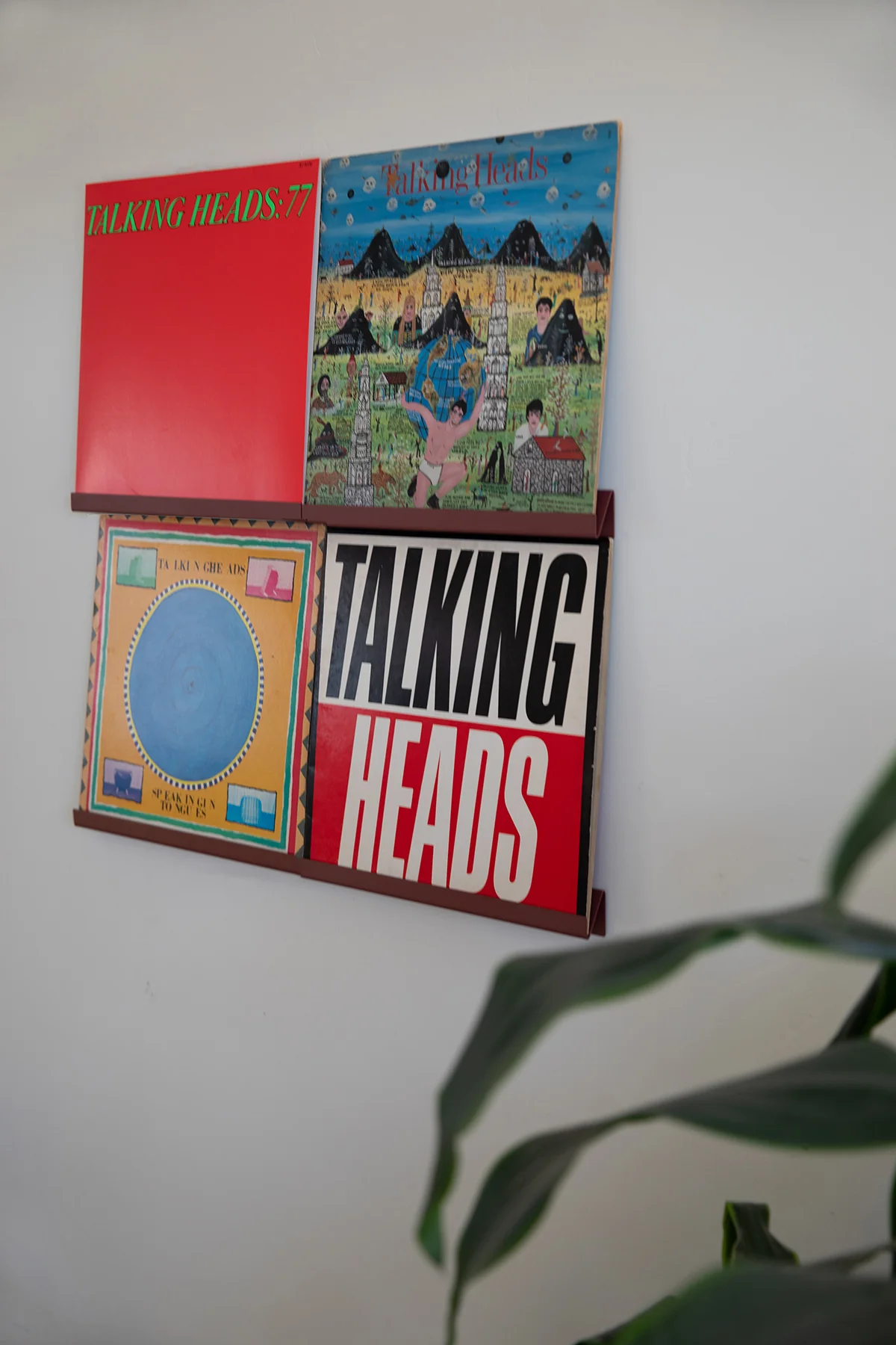 LP Wall Display - Rose - Image 3